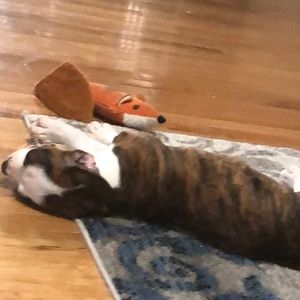 Meet your Posher, Erin